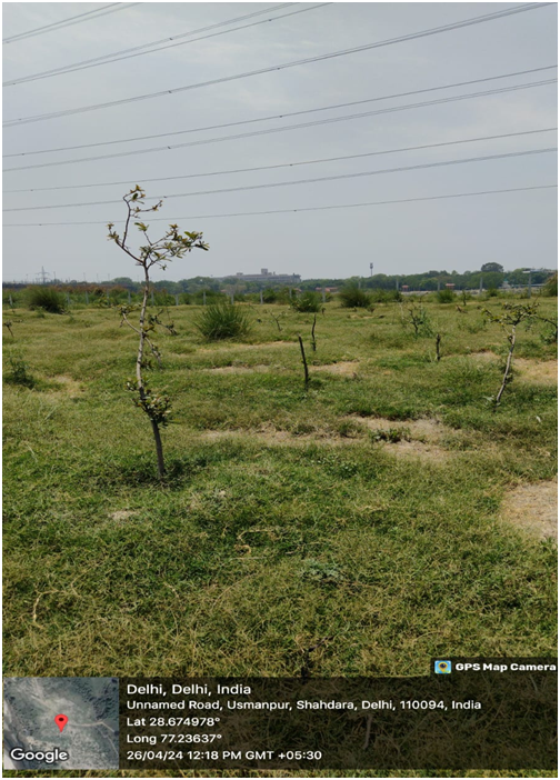 Compensatory Afforestation